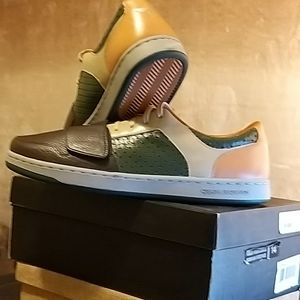 CESARIO LOW PREMIUMS